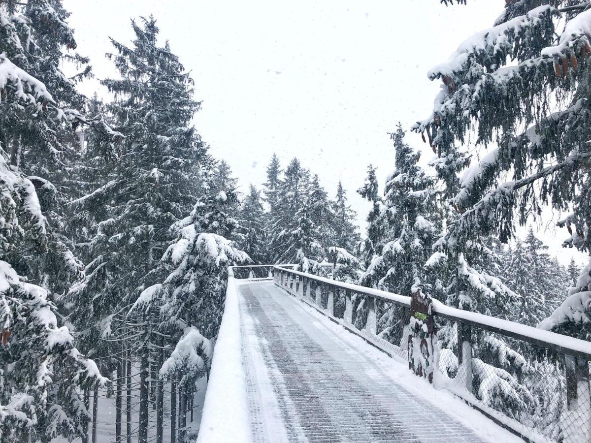 Apartmány Doky - PLA Lipno nad Vltavou Esterno foto