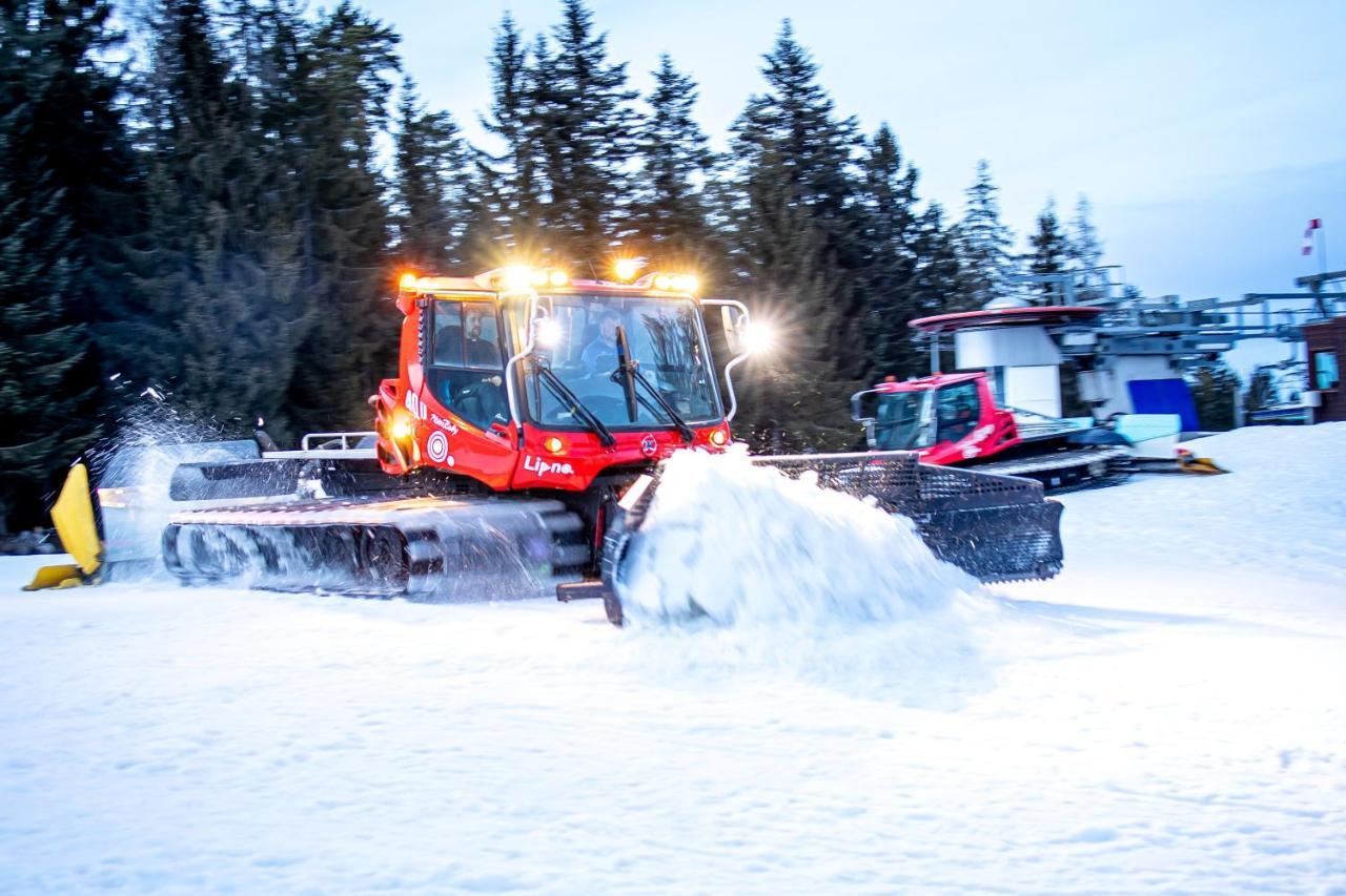 Apartmány Doky - PLA Lipno nad Vltavou Esterno foto